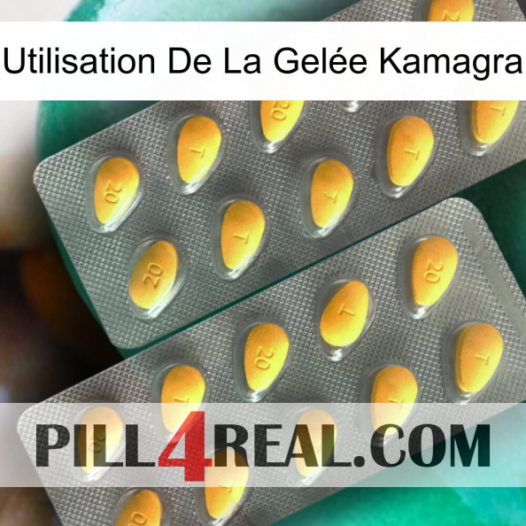 Utilisation De La Gelée Kamagra cialis2